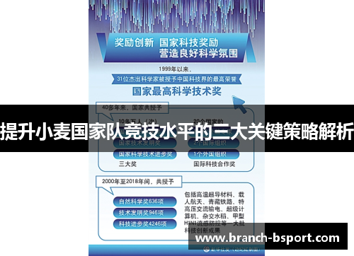 提升小麦国家队竞技水平的三大关键策略解析
