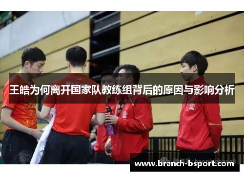 王皓为何离开国家队教练组背后的原因与影响分析