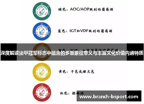 深度解读法甲冠军标志中蕴含的多重象征意义与丰富文化价值内涵特质