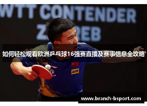 如何轻松观看欧洲乒乓球16强赛直播及赛事信息全攻略