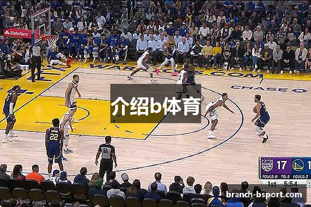 介绍b体育